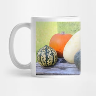 pumpkins and gourds Mug